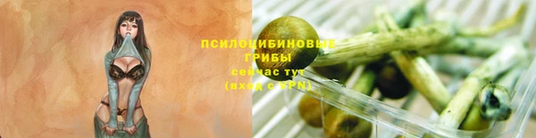 эйфоретик Инта
