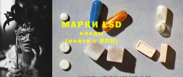 эйфоретик Инта